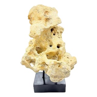 Indonesian Coral Stone On Teak Stand For Sale