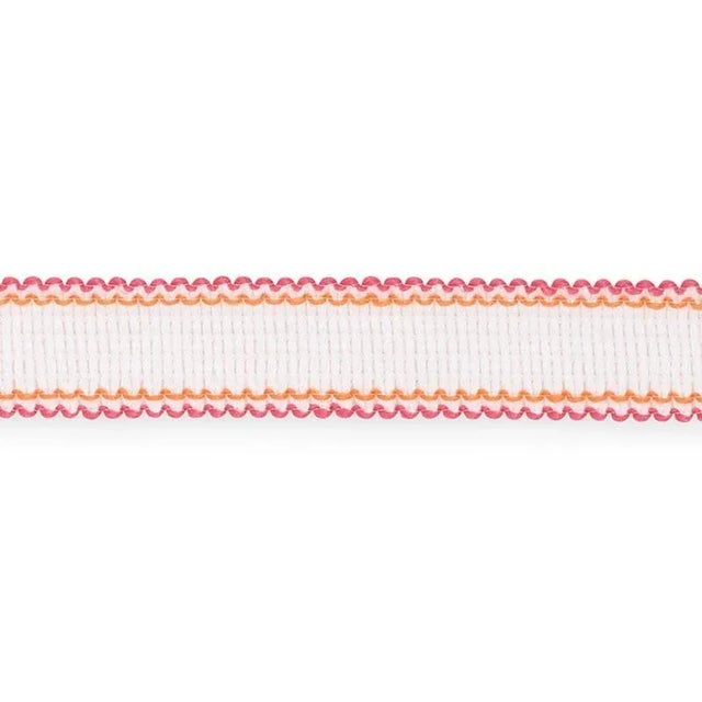 Sample - Schumacher Filippa Tape Indoor & Outdoor in Azalea For Sale