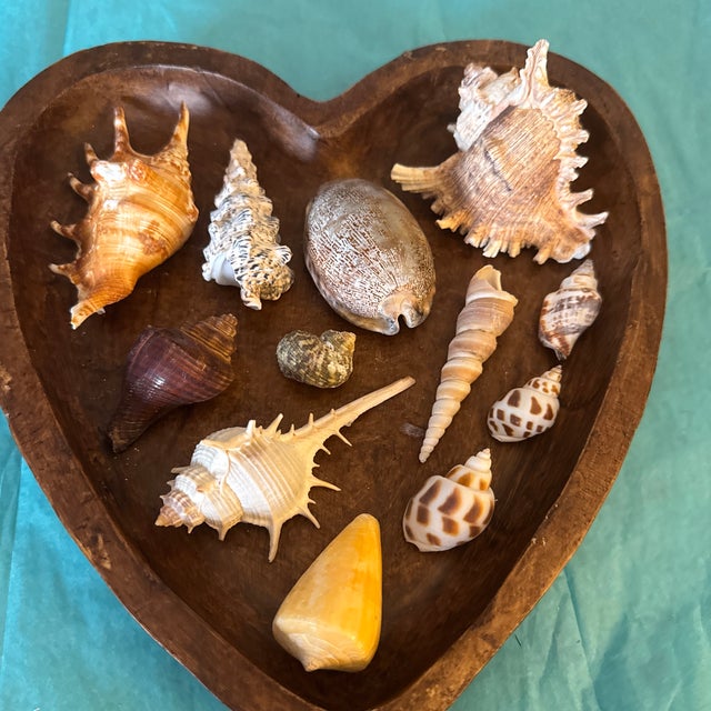 Mid-Century Modern Mid-Century Modern Hand-Carved Heart Wooden Catchall Bowl With Curated Seashell Specimen Collection For Sale - Image 3 of 9