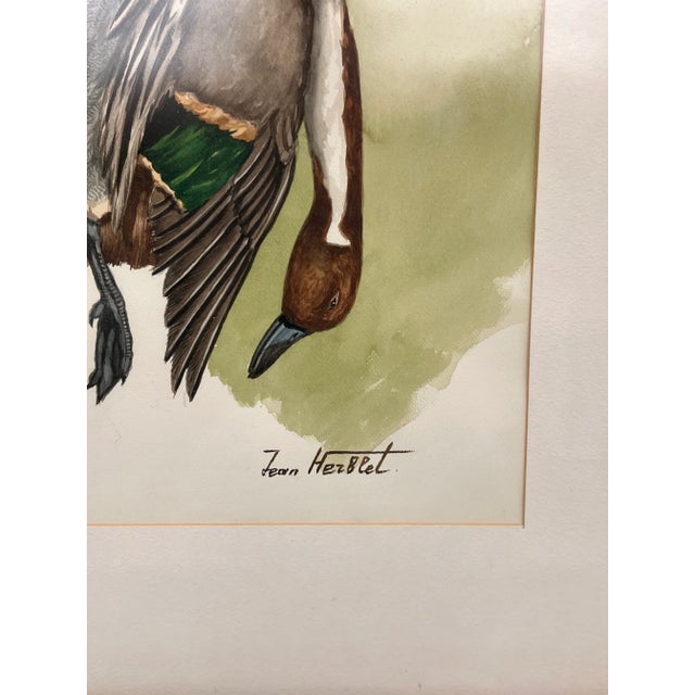 1970s Original Hunting Dog With Foul Watercolor Painting by French Artist and Cartoonist Jean Herblet Signed, Framed For Sale In Seattle - Image 6 of 7