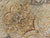 Hand Knotted Indian Rug - 8'x 10'6" For Sale - Image 13 of 18