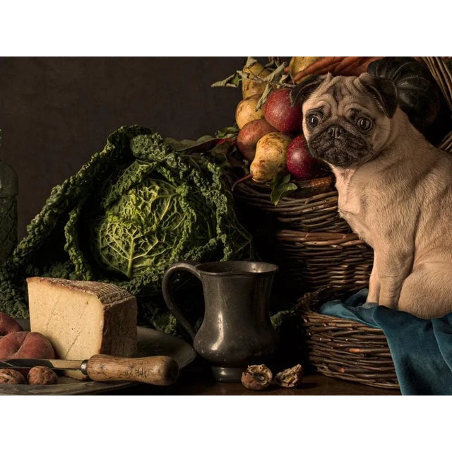 Tim Platt, Dutch Dog #2, 2015, Archival Pigment Print For Sale - Image 4 of 5