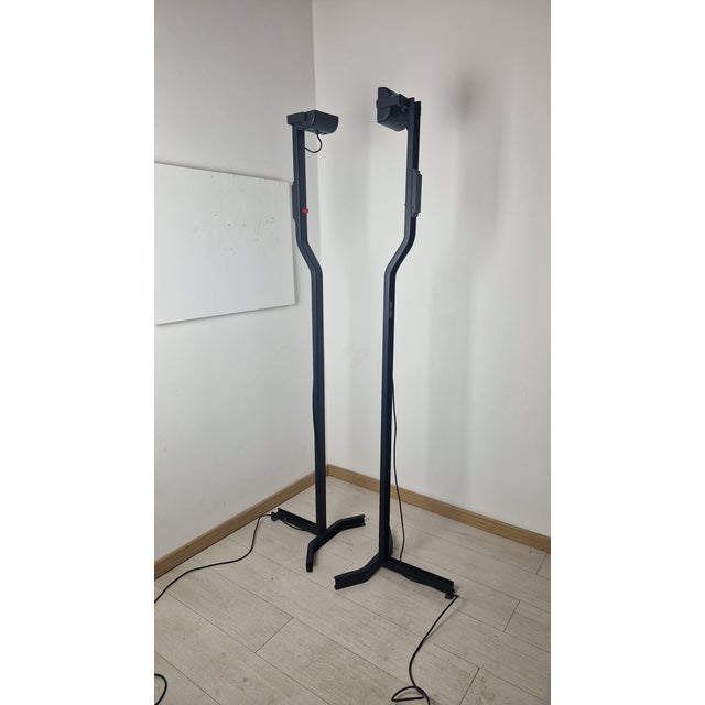 Mid-Century Modern Sirio Model Floor Lamp in Black Lacquered Iron by Kazuide Takahama for Sirrah, 1970s For Sale - Image 3 of 15