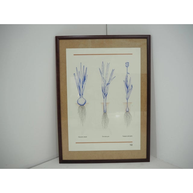 Mid-Century Modern School Poster, Czechoslovakia, 1960s For Sale - Image 3 of 7