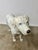Contemporary Life-Size Celebrity Collage Labrador Dog Sculpture, Sun Valley, C. 2001 For Sale - Image 3 of 14