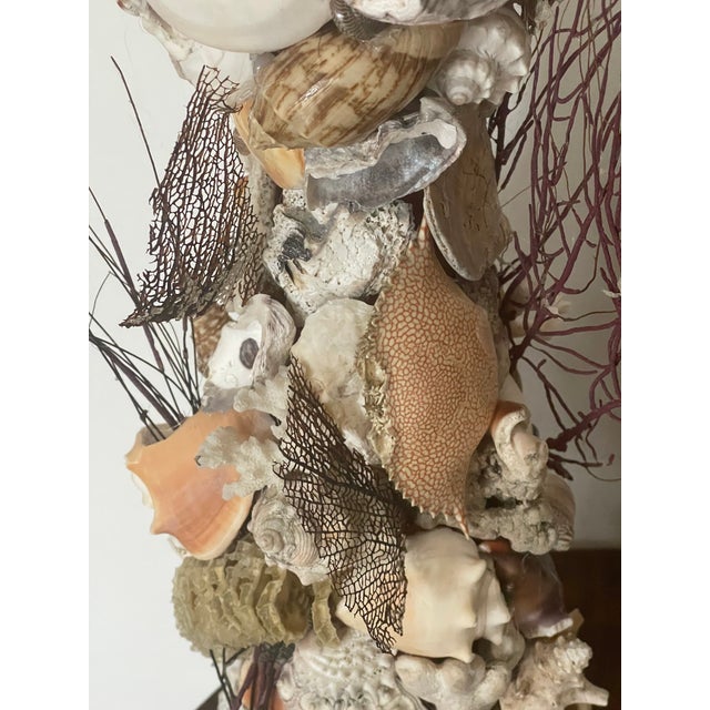 Antique Grotto Sea Shell Candlesticks With Antique Bahamas Conch Shells For Sale - Image 9 of 9