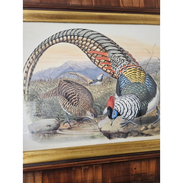 1980s Beautifully Framed Prints of Game Birds - A Set of 2 For Sale - Image 5 of 5