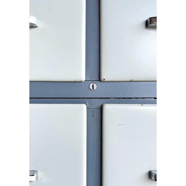 Vintage Archive Cabinet with Drawers from Strafor, 1960s For Sale - Image 10 of 17