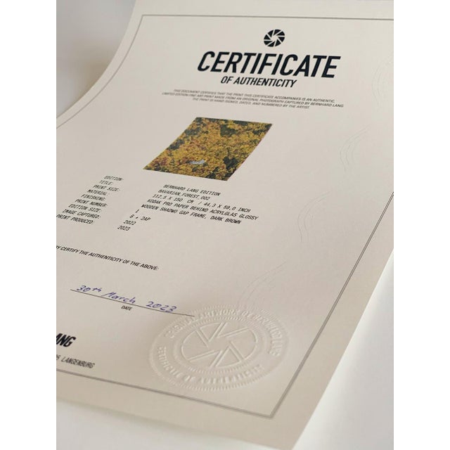 Bavarian_Forest_02" Size a Contemporary Limited Edition Fine Art Photograph by Bernhard Lang For Sale - Image 10 of 10