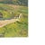 Early 20th Century Vintage European Village Landscape Painting on Canvas. For Sale - Image 5 of 10