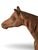 Brown Vintage Hubley Cast Iron Derby Horse 1940’s For Sale - Image 8 of 9