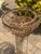 Vintage French Decorative Scrollwork Iron Plant Pedestal For Sale - Image 4 of 12