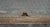 Reclaimed Wormy Chicken Wire Glass Window 31.875 X 19 In. For Sale - Image 6 of 6