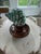 Celestial Meets the Sea Shell Ring Dish-Coastal Art Sculpture For Sale - Image 4 of 6