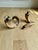 1970s Vintage Organic Modern Ram’s Horn Candlesticks With Silvered Brass Mounts – Pair For Sale - Image 5 of 12
