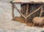 1960s Painting: Winter Countryside Scene With Livestock Barn For Sale In West Palm - Image 6 of 12