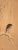 1920s Late Meiji to Early Showa Japanese Watercolor Scroll "The Crow and the Snow" For Sale In Dallas - Image 6 of 12