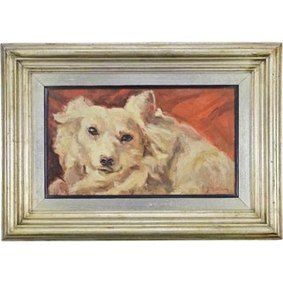 Fausta Settimj, Dog, 20th Century, Oil on Cardboard For Sale