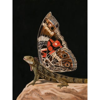 Iguana-moth by Robin Hextrum | Oil on linen panel Iguana with butterfly wings on a rock For Sale