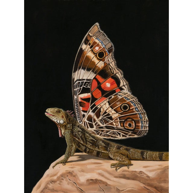 Iguana-moth by Robin Hextrum | Oil on linen panel Iguana with butterfly wings on a rock For Sale