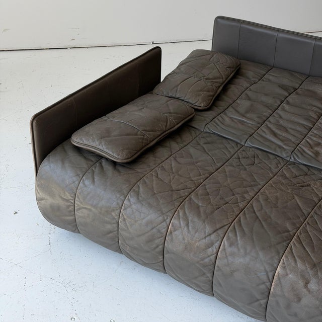 Brown 1970s Ds-69 Leather Sleeper Sofa by De Sede For Sale - Image 8 of 11
