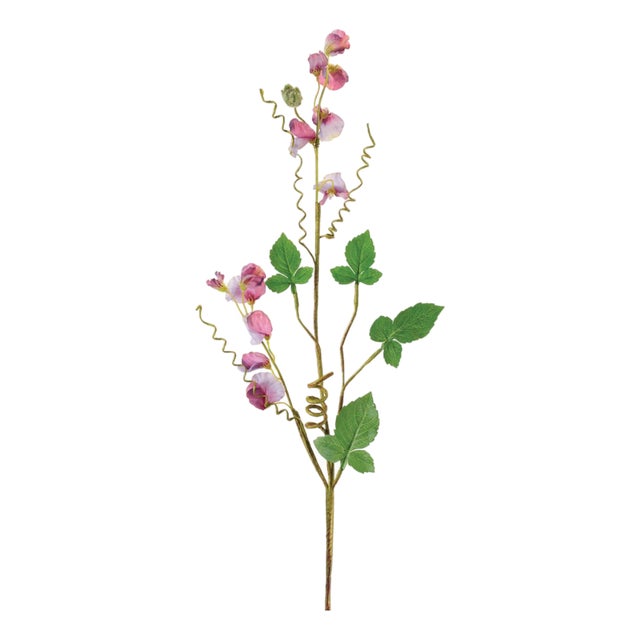 Sweet Pea Floral Spray (Set of 6) For Sale