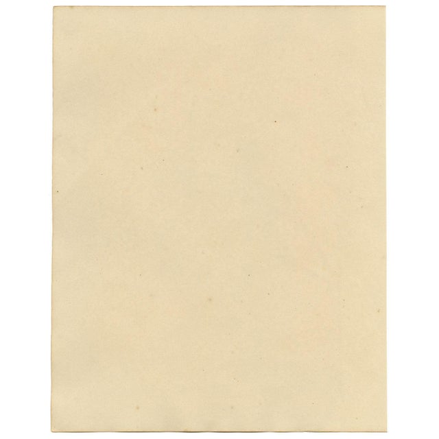 Michela De Vito, Costume of Sessano, Province of Molise in the Kingdom of Naples, 1800s, Paper For Sale - Image 5 of 7