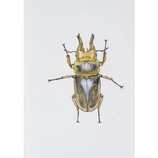 Juris Utans, Ocher-Gray Beetle, 2021, Mixed Media and Paper For Sale