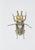 Juris Utans, Ocher-Gray Beetle, 2021, Mixed Media and Paper For Sale