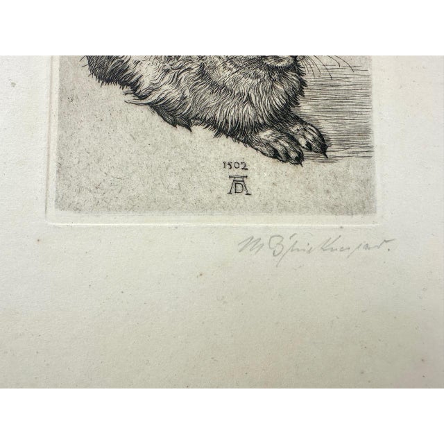 After Albrecht Dürer, Young Hare, Copperplate Engraving, 19th Century For Sale - Image 3 of 8