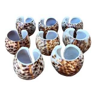 Vintage Sliced Shell Napkin Holders - Set of 8 For Sale