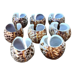 Vintage Sliced Shell Napkin Holders - Set of 8