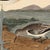 2010s Early American Poster, Spoonbill and Shore Birds For Sale - Image 5 of 8