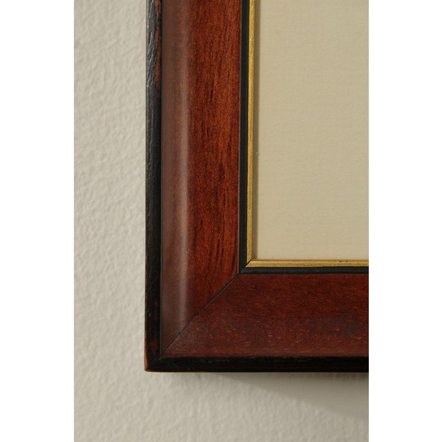 Gray Vintage Pair of Framed Prints, New Orleans Pharmacy Museum For Sale - Image 8 of 12