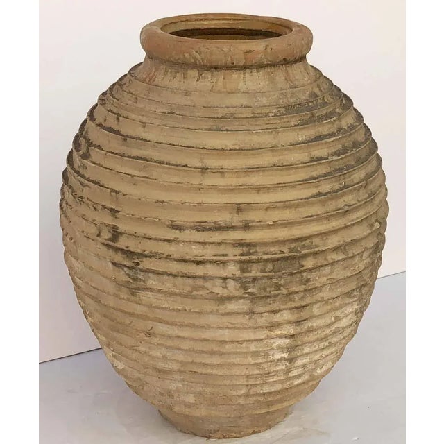 Large Greek Garden Urn or Oil Jar For Sale - Image 9 of 11