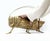 Mid-Century Modern Large Vintage Brass Grasshopper For Sale - Image 3 of 9