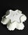 Red Hand-Painted Porcelain Strawberry Bowl from Rosenthal Monbijou, Germany, 1900 For Sale - Image 8 of 11
