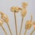 Cocktail Sticks with Fruit and Vegetable Motifs from Skultuna, Late 20th Century, Set of 6 For Sale - Image 3 of 6