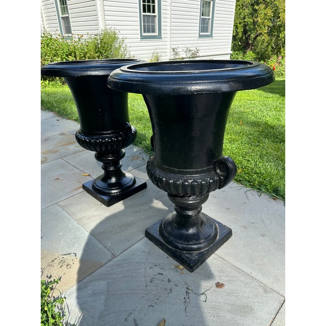 Assembled pair of monumental neoclassical cast iron urns with unusual smooth rims and scrolled volute handles made in the...