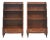 Mahogany Inlaid Open Bookcases, 1890s, Set of 2 For Sale