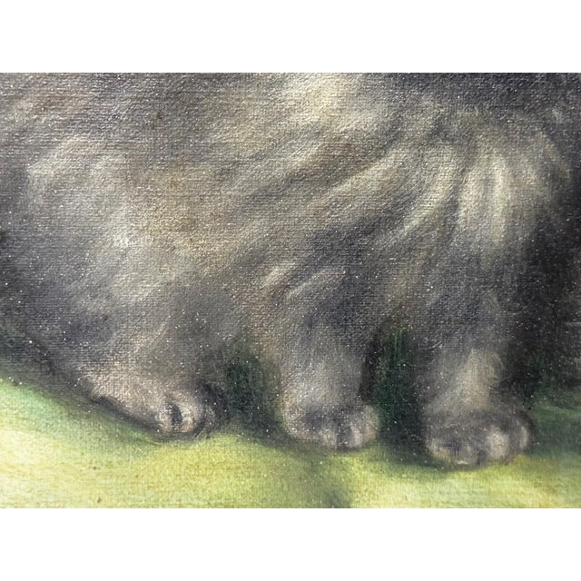 British Persian Cat Oil Painting by Agnes Augusta Talboys Rwa With Decorative Tea Service For Sale - Image 11 of 18