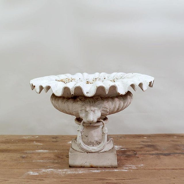 19th Century Cast Iron Basin with Lion Head Handles For Sale - Image 12 of 16