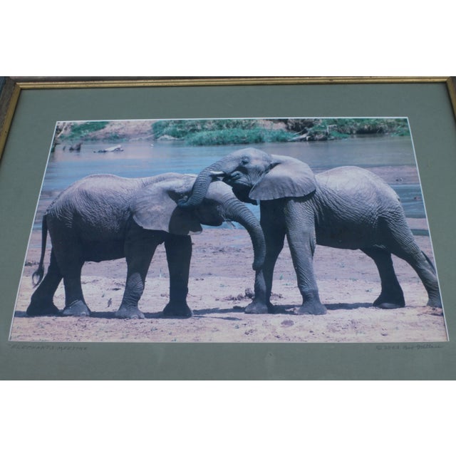 Mid Century Framed & Matte Photograph by Bob Wallace - Elephants Meet For Sale - Image 12 of 12