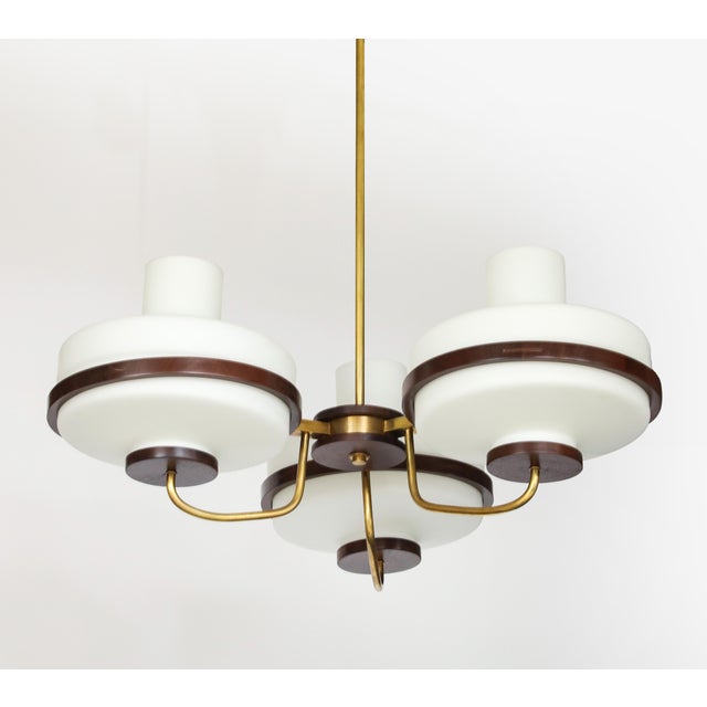 1960s 1960's Stilnovo Style Walnut and Brass Chandelier For Sale - Image 5 of 17