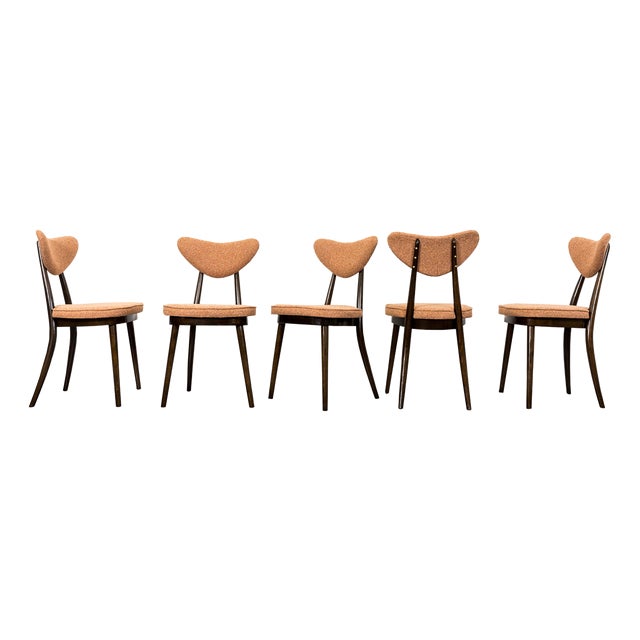 Dining Chairs by H & J Kurmanowicz, Poland, 1950s, Set of 5 For Sale