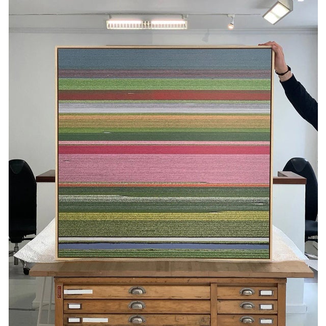 "AV_Tulip_Fileds_014" Contemporary Limited Edition Fine Art Photograph Print by Bernhard Lang For Sale - Image 4 of 10