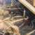 Amazing hand-painted LARGE rectangular Florentine box with still life top // giltwood box // mid 20th century // gilt // made in Italy // floral For Sale - Image 11 of 12