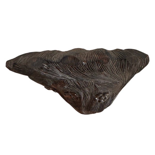 Mid 20th Century Balinese Macassar Ebony Bust For Sale - Image 11 of 12