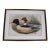 Mid 20th Century Hand-Colored C1900s Lithograph of Two Waterfowl Ducks, Framed For Sale