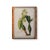Spring Orchid III Giclee in Tortoise Frame For Sale - Image 10 of 10